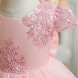 Kids Cute Bow Princess Flower Lace Tulle Short Party Dress