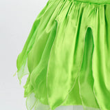 Tinkerbell Fairy Princess Dress