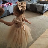 Kids Cute Bow Princess Flower Lace Tulle Short Party Dress