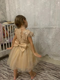 Kids Cute Bow Princess Flower Lace Tulle Short Party Dress