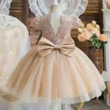 Kids Cute Bow Princess Flower Lace Tulle Short Party Dress