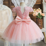 Kids Cute Bow Princess Flower Lace Tulle Short Party Dress