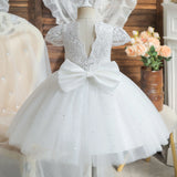 Kids Cute Bow Princess Flower Lace Tulle Short Party Dress