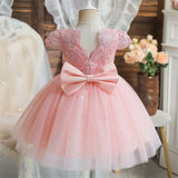 Kids Cute Bow Princess Flower Lace Tulle Short Party Dress