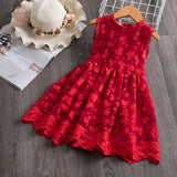 Fancy Girls Frock Dress