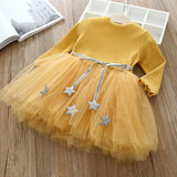 Fancy Girls Tutu Princess Dresses