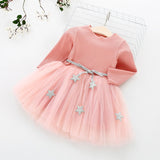 Fancy Girls Tutu Princess Dresses